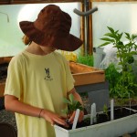 Learning to plant seedlings