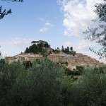 Cetona, viewed from an olive grove