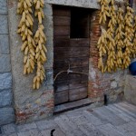 Corn drying in Cetona