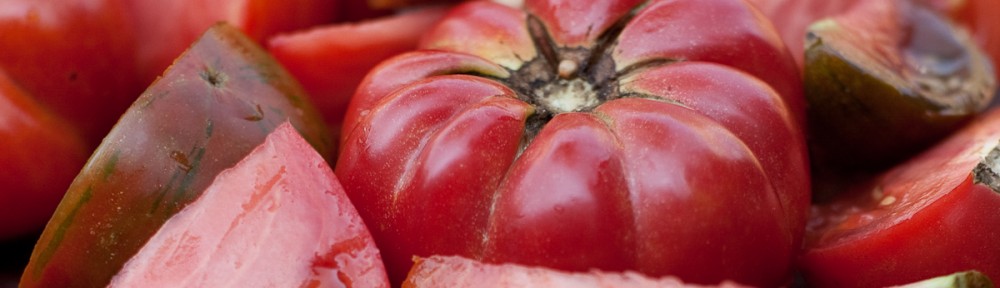 fresh tomatoes